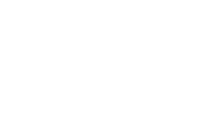 onindus logo