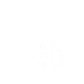 The data in the PMIS software