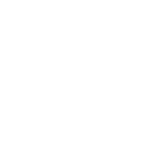  BIM Implementation Icon