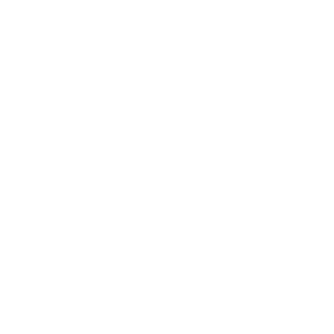  BIM Support Icon