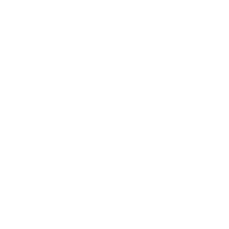 CMMS Implementation Icon