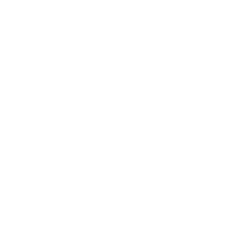 PMIS Implementation Icon