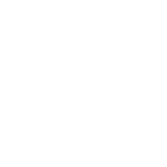  System Assessment Icon